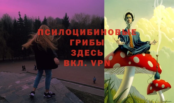 гашик Зеленодольск