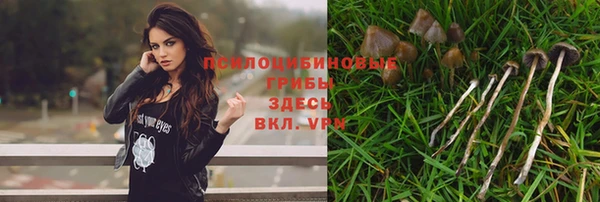 гашик Зеленодольск
