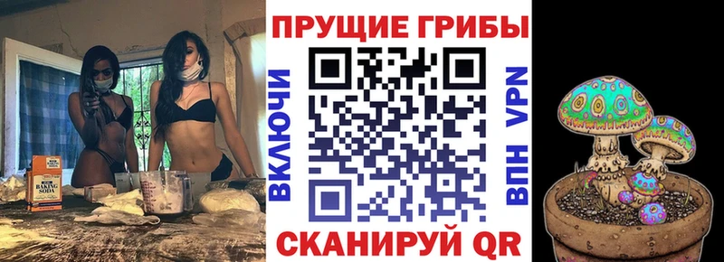 Купить где  Мелеуз  Псилоцибиновые грибы GOLDEN TEACHER 
